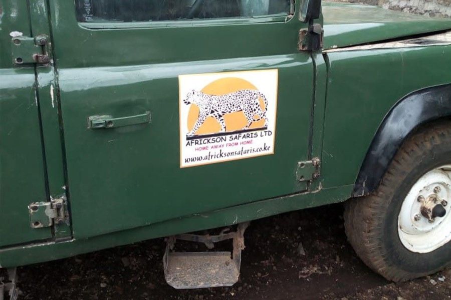 Racecar designed logo goes on safari with used Landy
